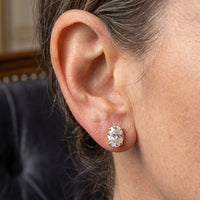 Simple Shiny Oval Stud Earrings