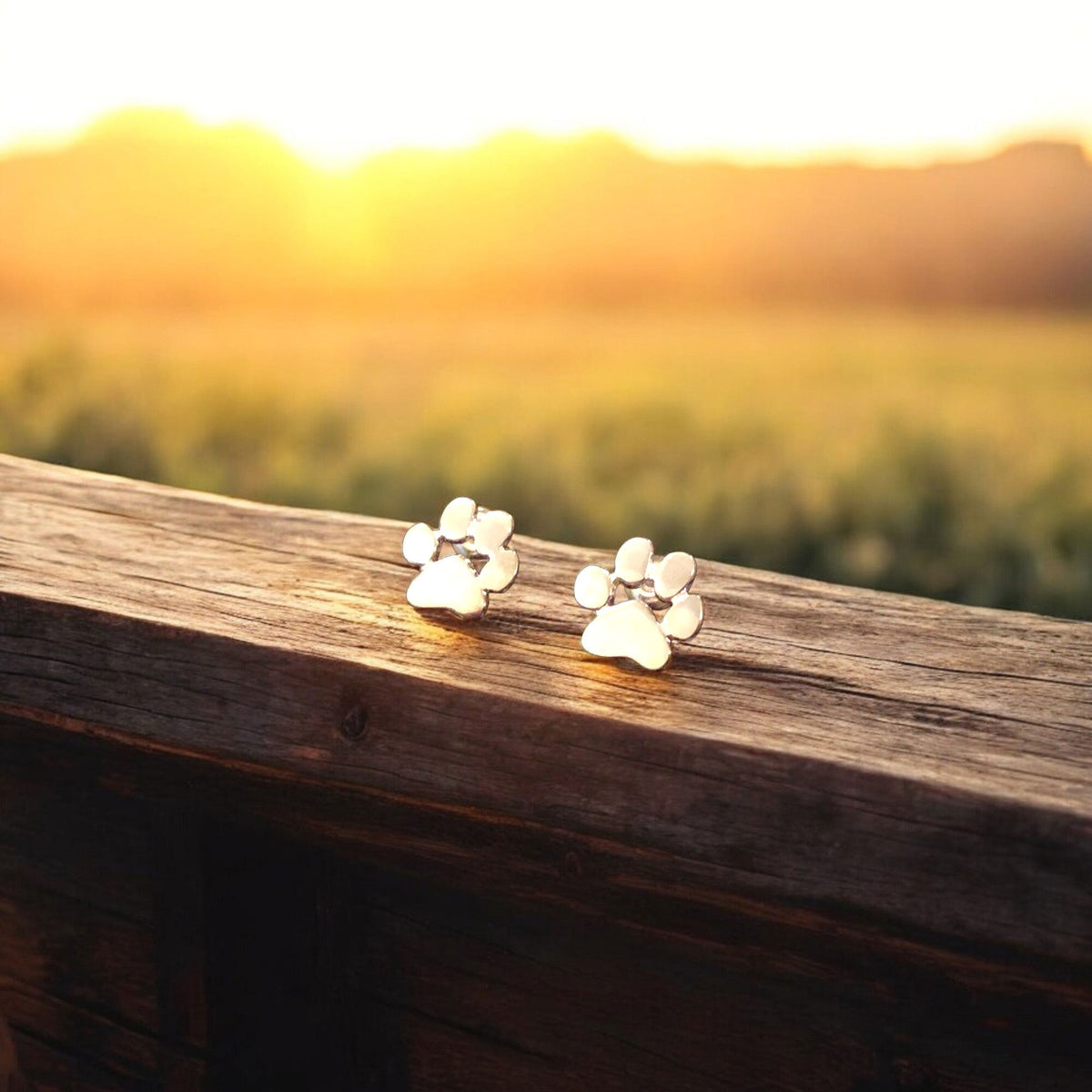 Hypoallergenic paw earrings