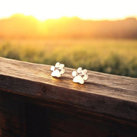 Hypoallergenic paw earrings