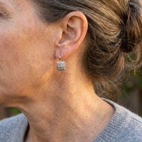 Classic White Zirconia Hook Shaped Hoops Earrings