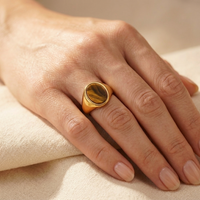 Gold Oval Tiger's Eye Stone Signet Ring
